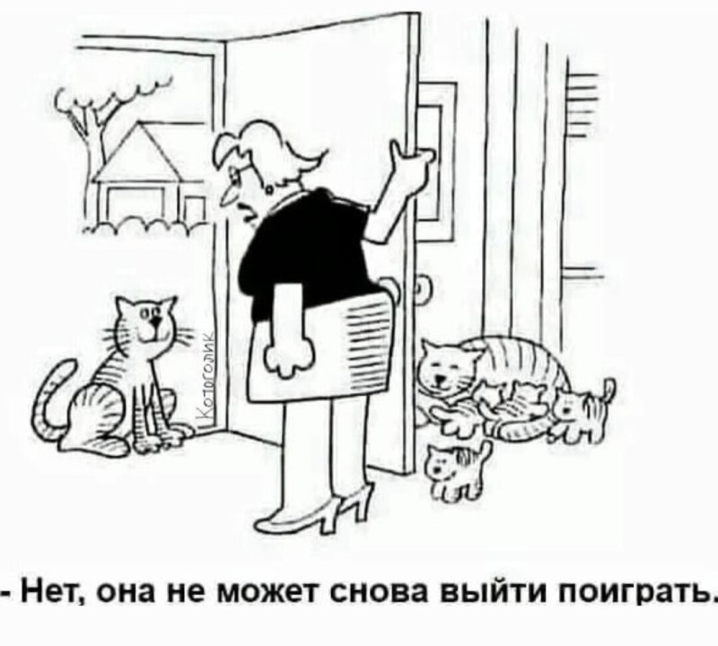 Солянка от 25.09.2025