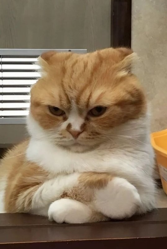 Солянка от 29.09.2025