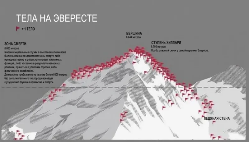 Солянка от 02.10.2025