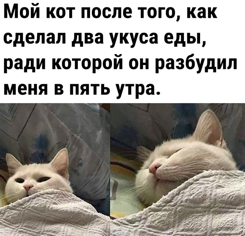 Доброе утро
