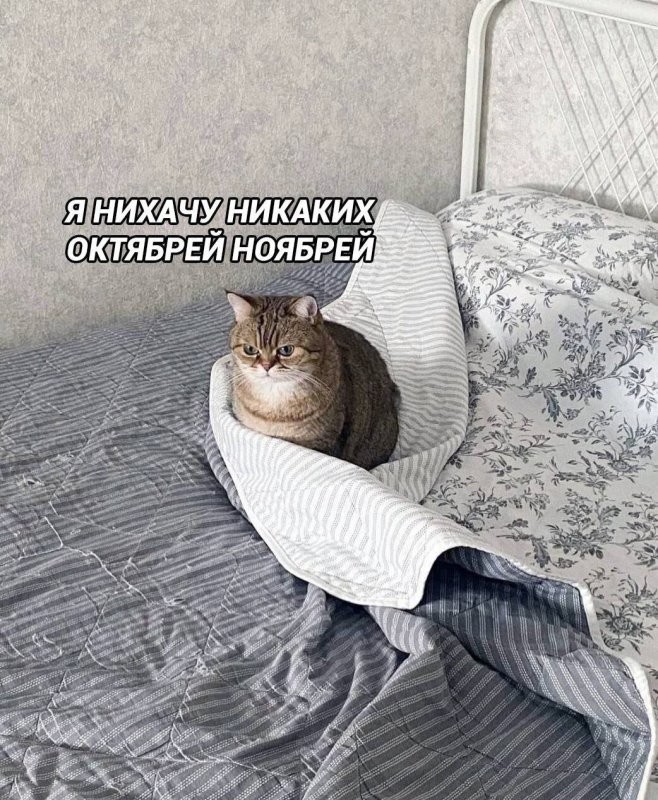 С добрым утром