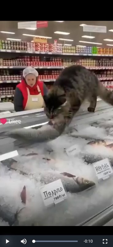 "как потопаешь - так и полопаешь" (с)народное