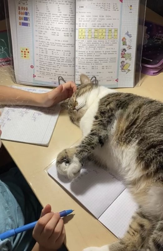 Как тут эту вашу домашку делать ..?