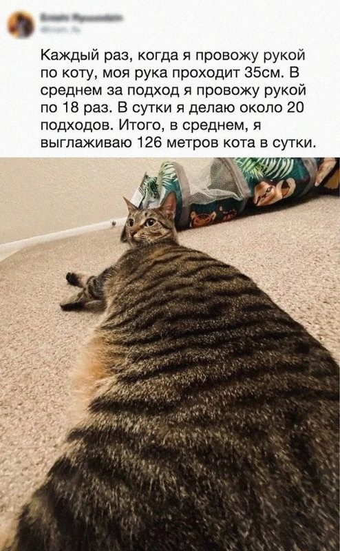 Доброе утро