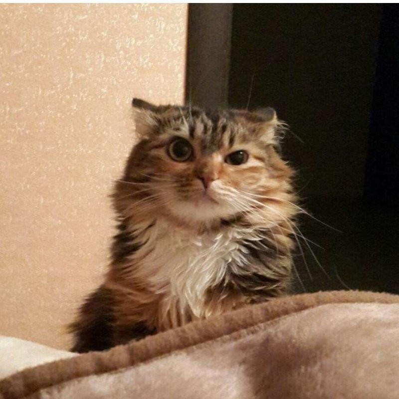 Доброе утро