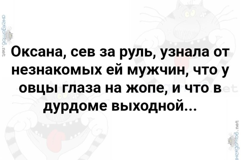 Солянка от 09.10.2025