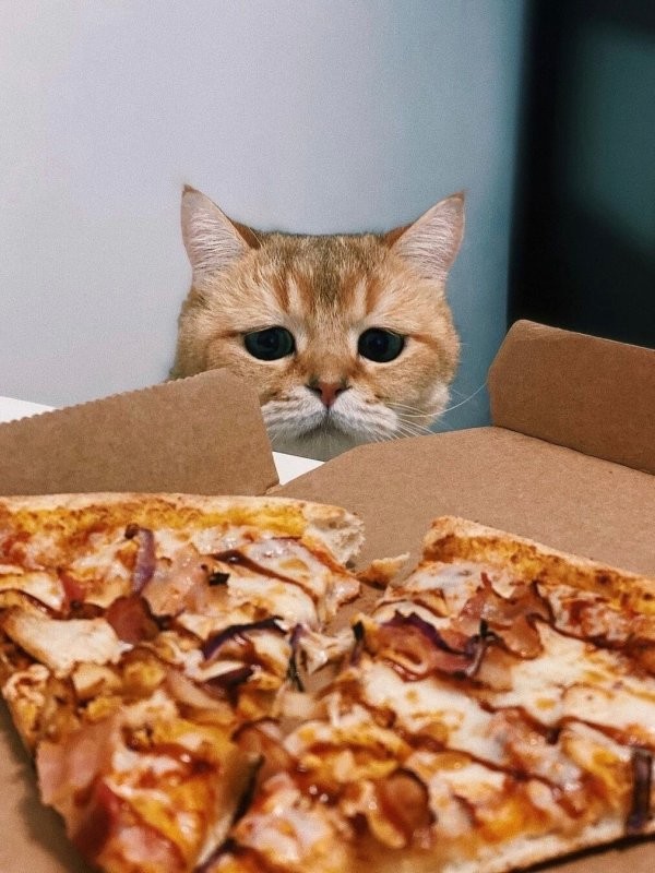 Доброе утро