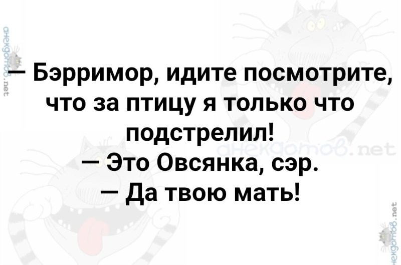 Солянка от 10.10.2025