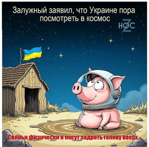 Лишь о политике