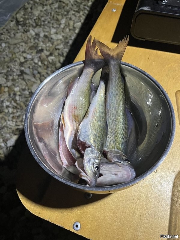 А мы не жадничаем. На берегу кушаем.