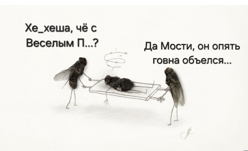 Солянка от 14.10.2025