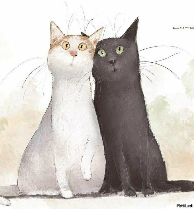 Доброе утро