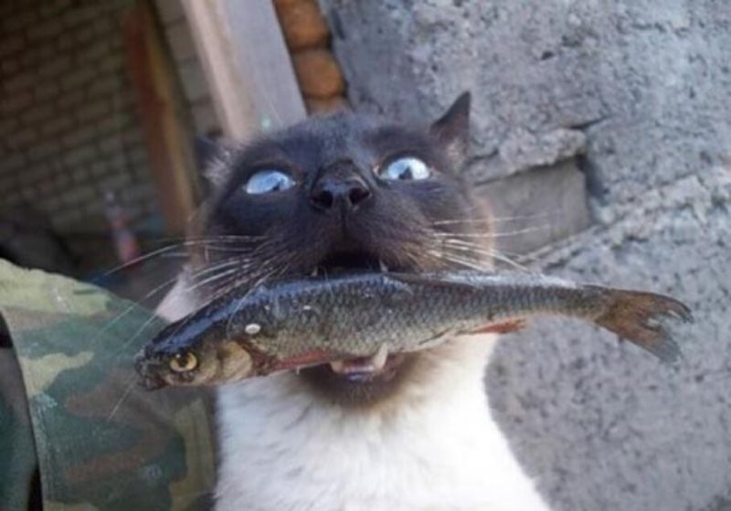 Тем временем на берегу тоже идёт подготовка заготовка =)