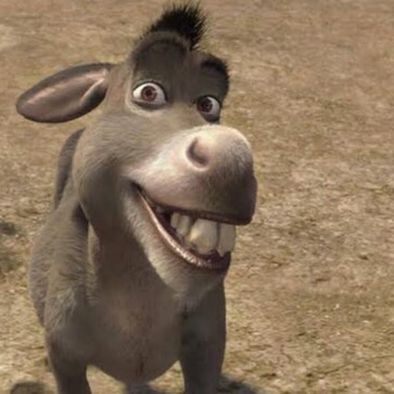 Здравствуйте девочки...