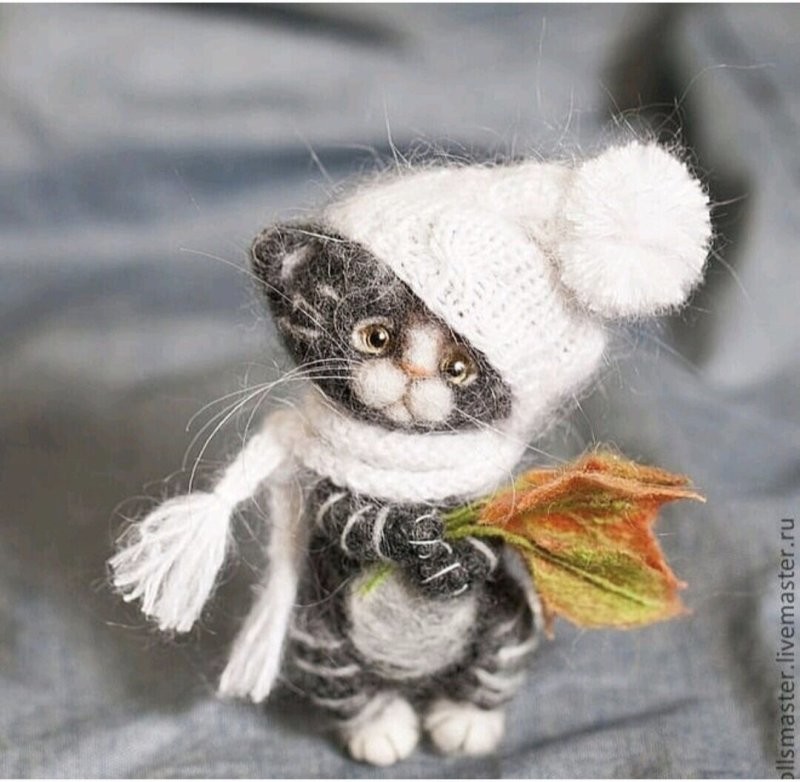 Солянка от 15.10.2025