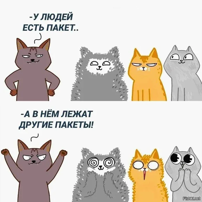 Солянка от 16.10.2025