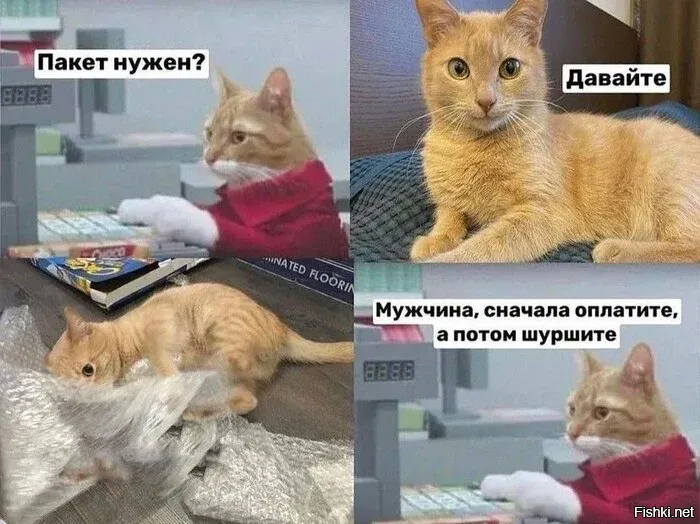 Солянка от 16.10.2025