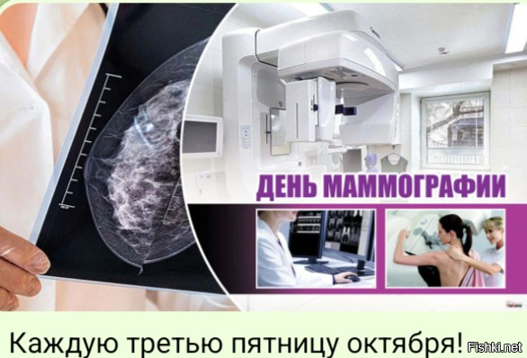 Солянка от 17.10.2025