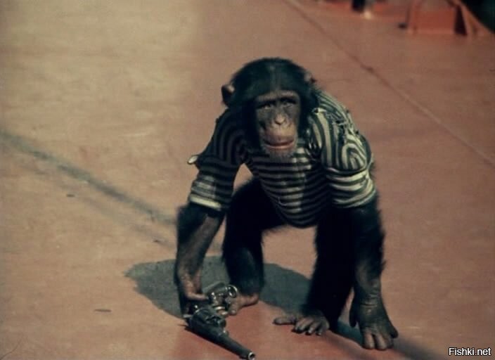 Солянка от 17.10.2025