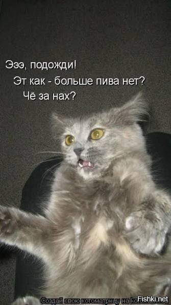 Солянка от 17.10.2025