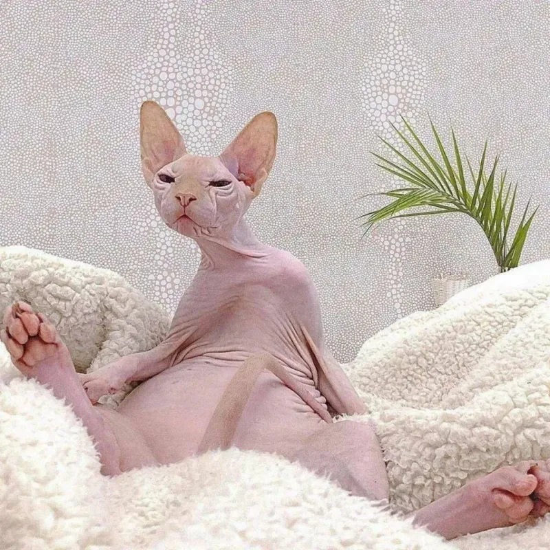 Извращенец...