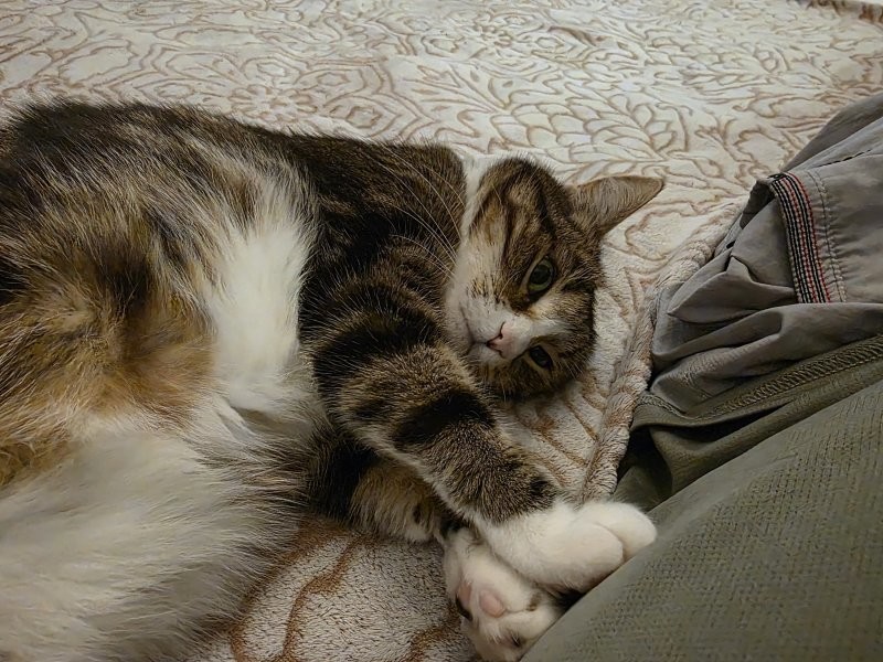 Солянка от 17.10.2025