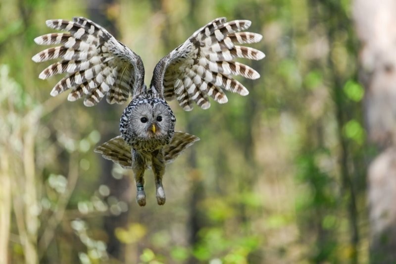 Солянка от 17.10.2025