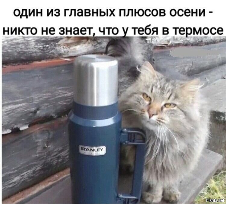 Спасибо )
