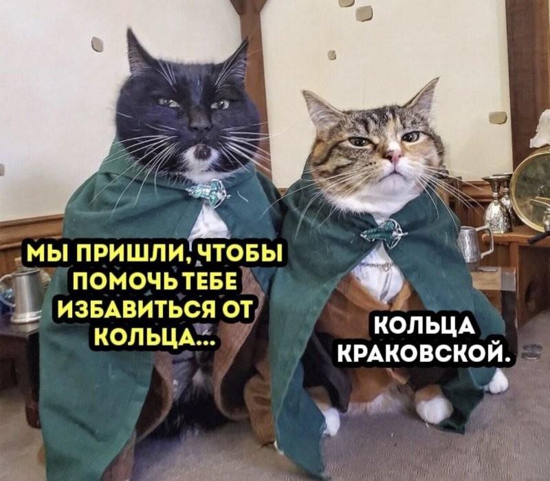 Солянка от 18.10.2025