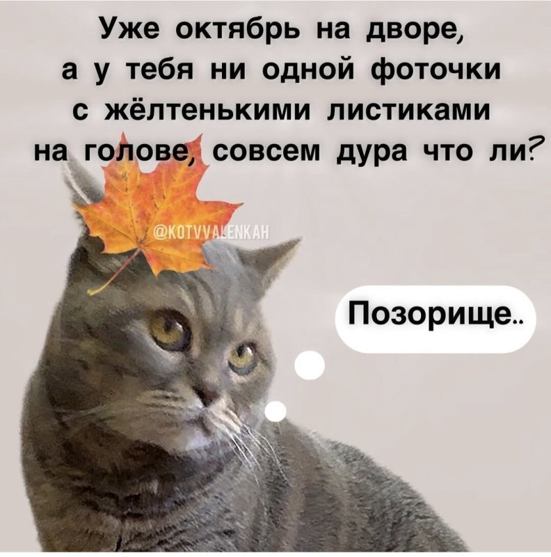 Солянка от 18.10.2025