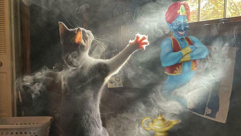 Три желания!