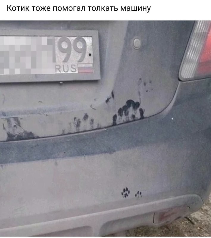 Солянка от 19.10.2025