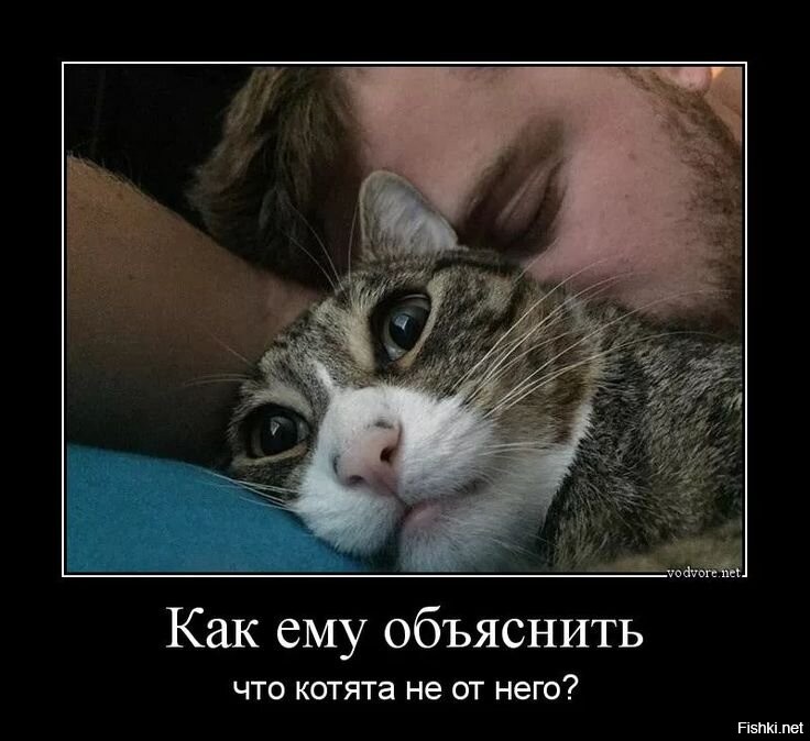Эти глазки