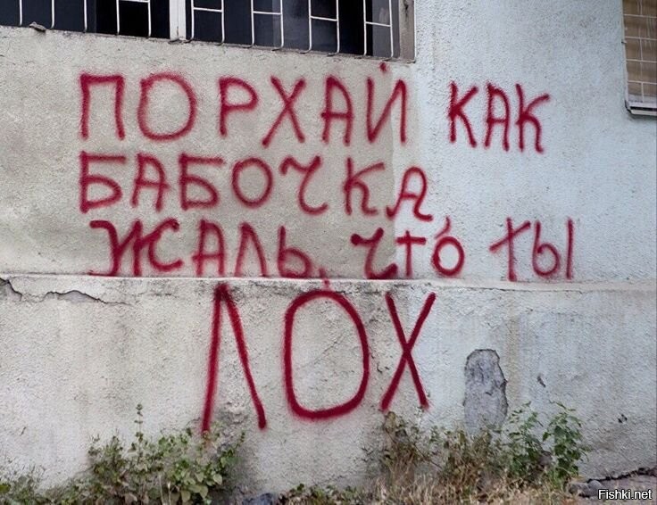 Солянка от 21.10.2025