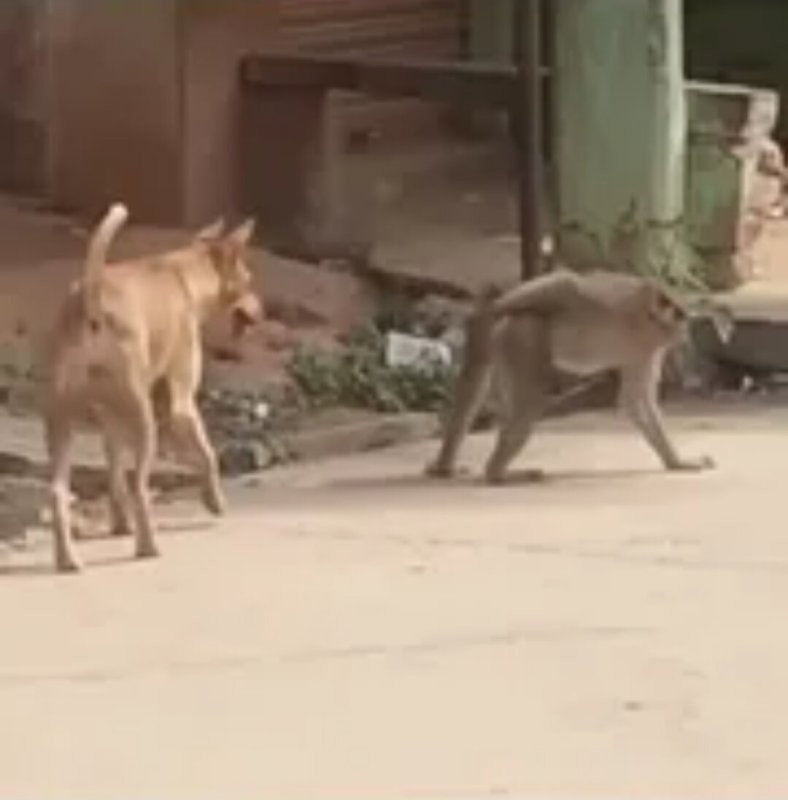 Солянка от 22.10.2025