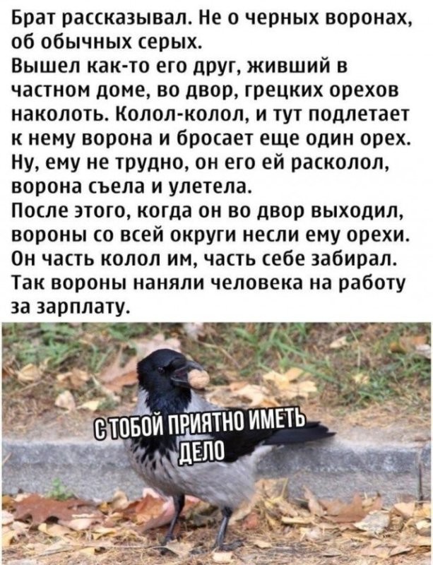 Солянка от 22.10.2025