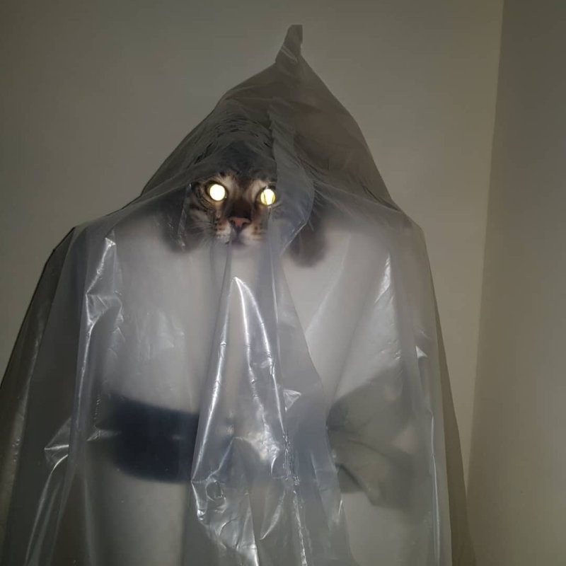 Солянка от 22.10.2025