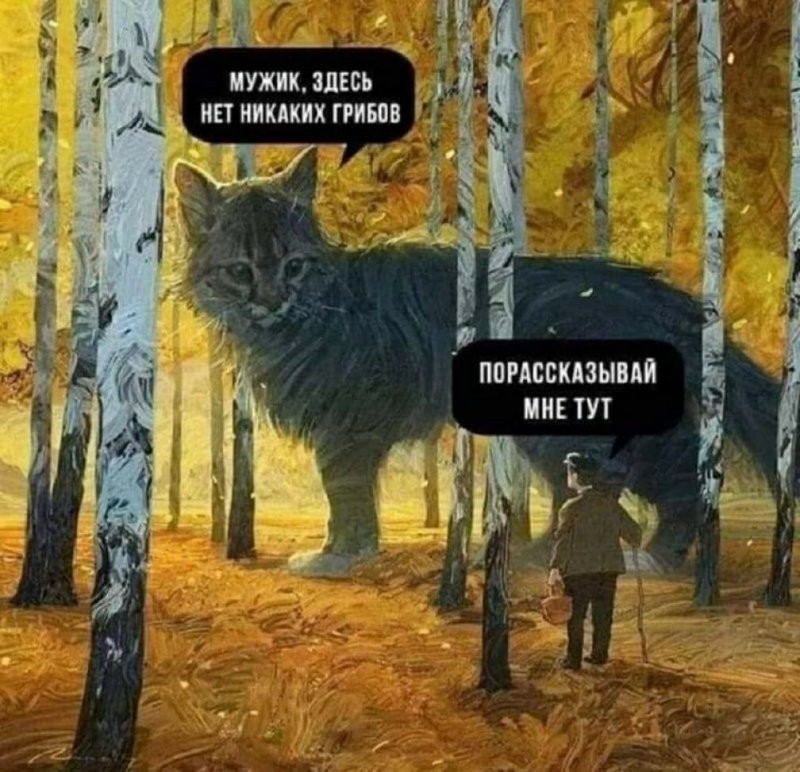 Как-то было уже здесь... Я ещё комментировал, что если это кленовый лист в полную величину, то кот должен быть такой