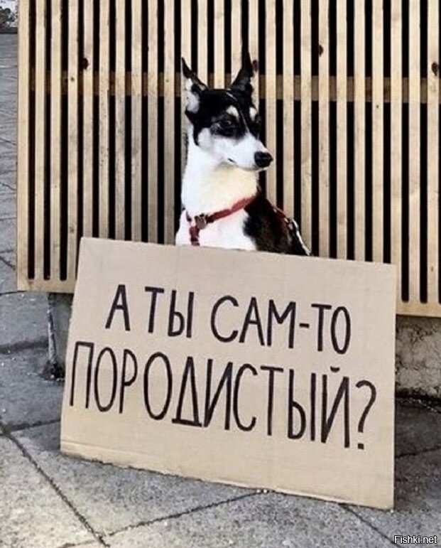 Солянка от 24.10.2025