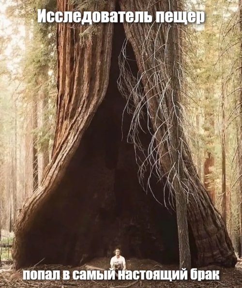 16 странноватых кадров, которые можно сравнить с порталом в невероятное