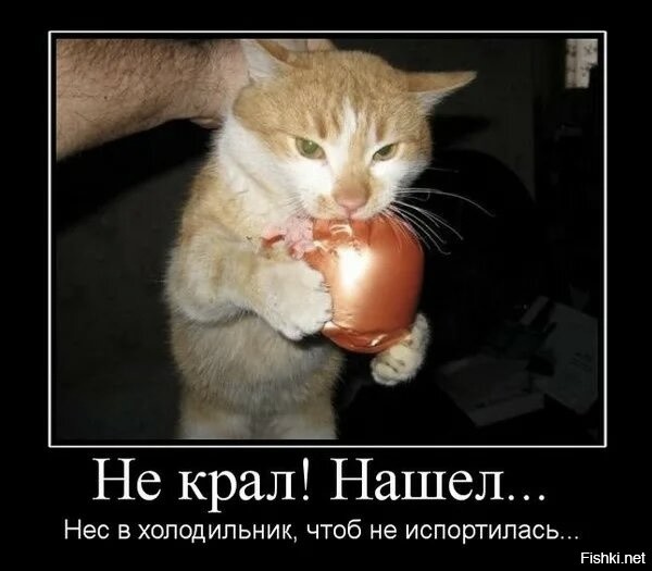 Солянка от 25.10.2025