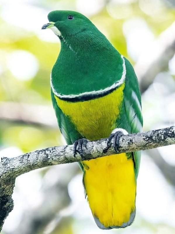 Судя по всему, там ещё и Т банк замешан