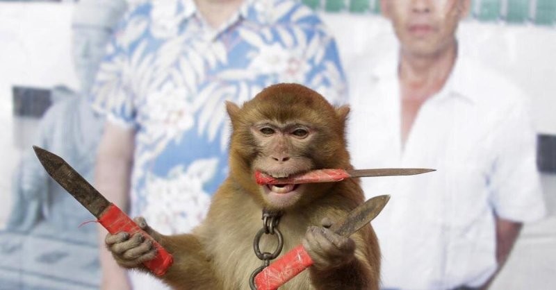 Прибалты вообще любят мастерить...
У нас тут один литовец...
Все ножи делал...
Примерно так же выглядело...
Как велосипед эстонца...