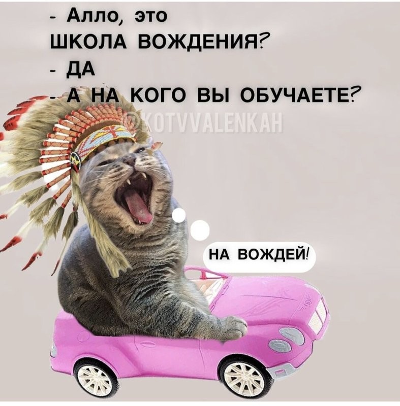 Солянка от 26.10.2025