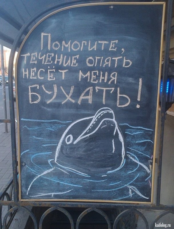 Солянка от 26.10.2025