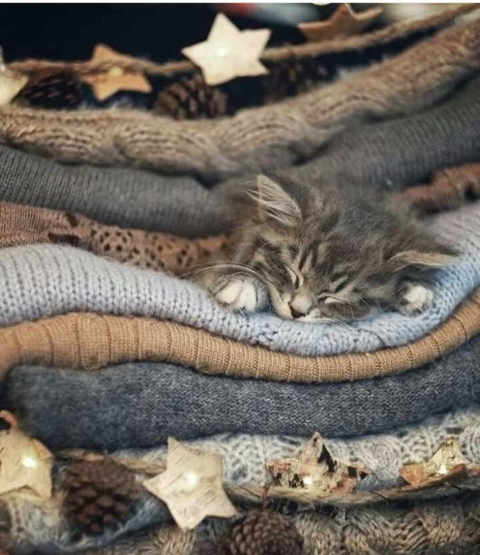 Доброе утро