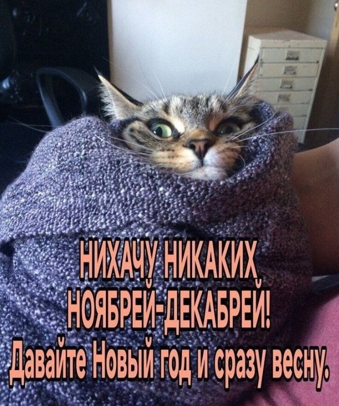 Доброе утро