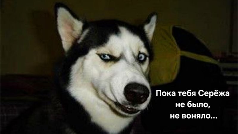Чё то говнецом воняет...