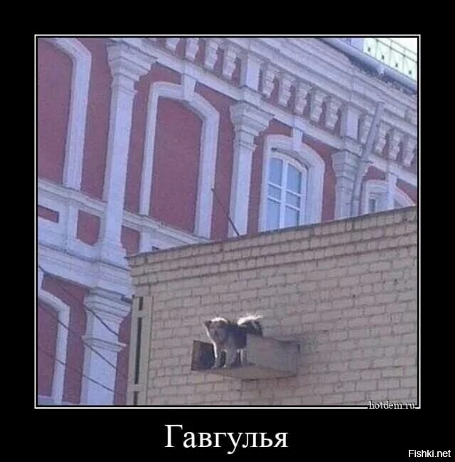 Солянка от 28.10.2025