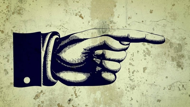 За ночь листья абрикоса совсем пожелтели